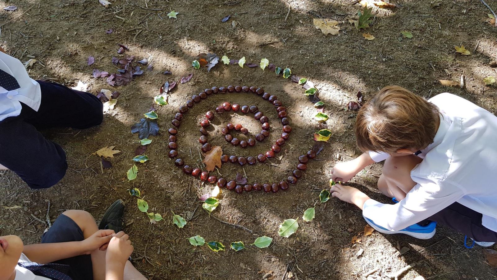 Year 4 explore the art of Andy Goldsworthy | Sherfield School